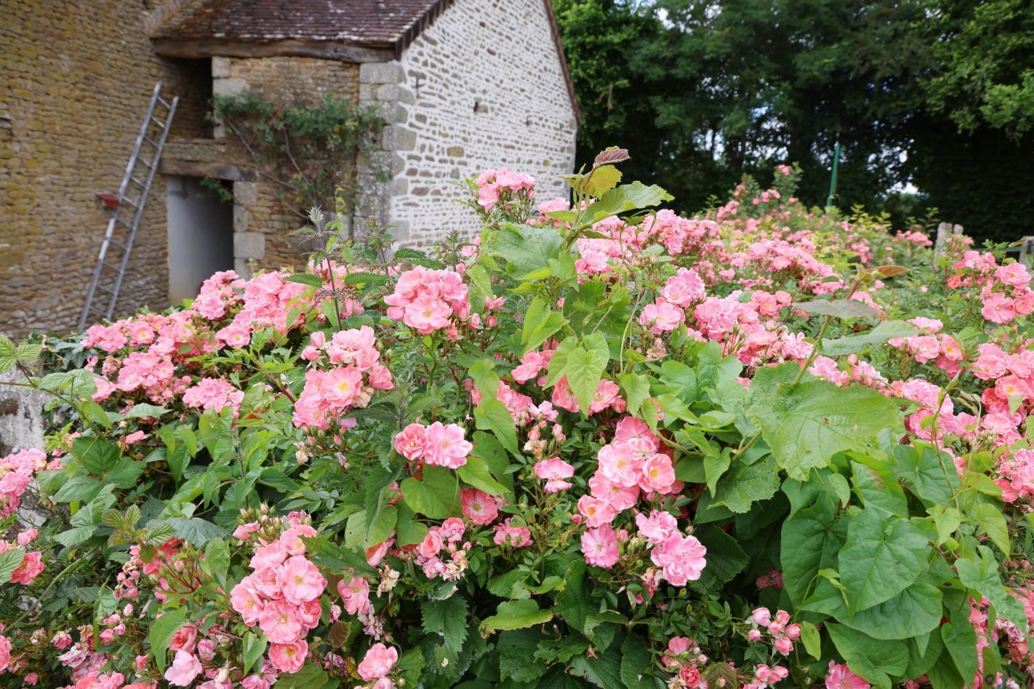 Chambre D'Hote Courtoux Saint-Denis-sur-Sarthon Экстерьер фото